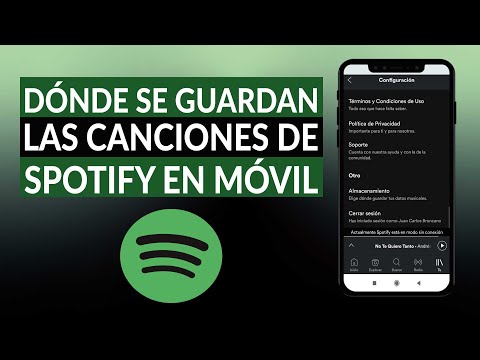 ¿Cómo ver los archivos descargados de Spotify?
